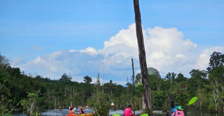 Krabi: South Kayak Klong Root Kayaking Tour - Practical Details and Tips