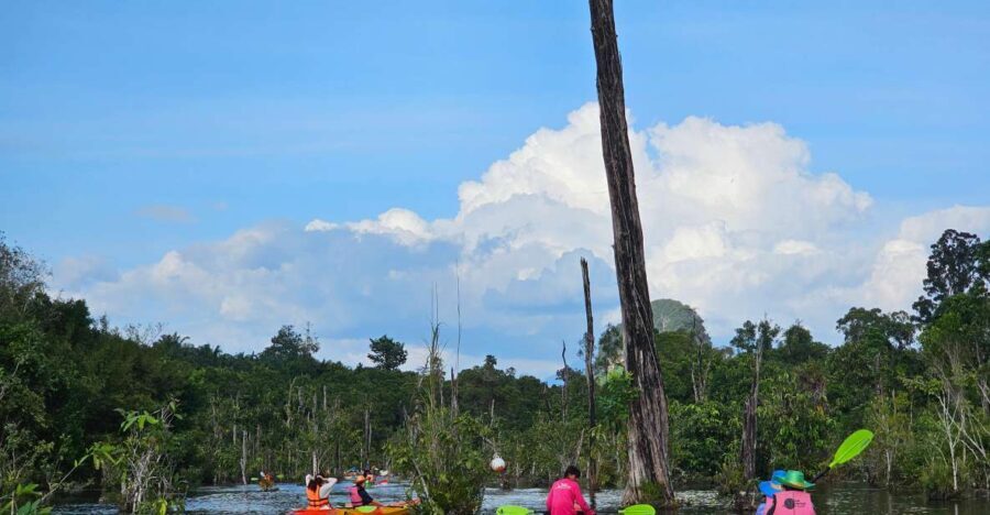 Krabi: South Kayak Klong Root Kayaking Tour - Practical Details and Tips