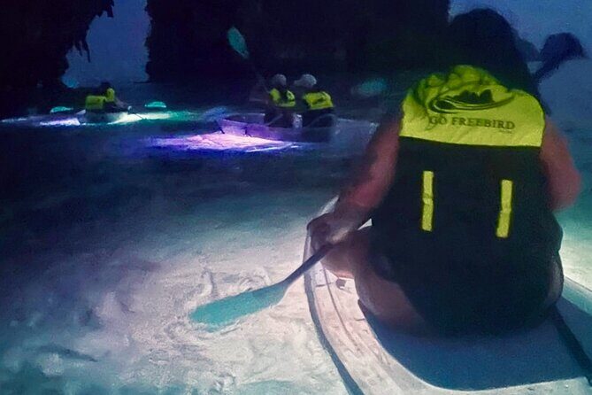 Krabi Stand-Up Paddleboard Illuminated Night Tour - The Sum Up: Why This Tour Is Worth It