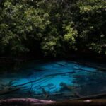 Krabi: Tiger Cave, Hot Springs and Emerald Pool Jungle Tour - Practical Tips and Considerations