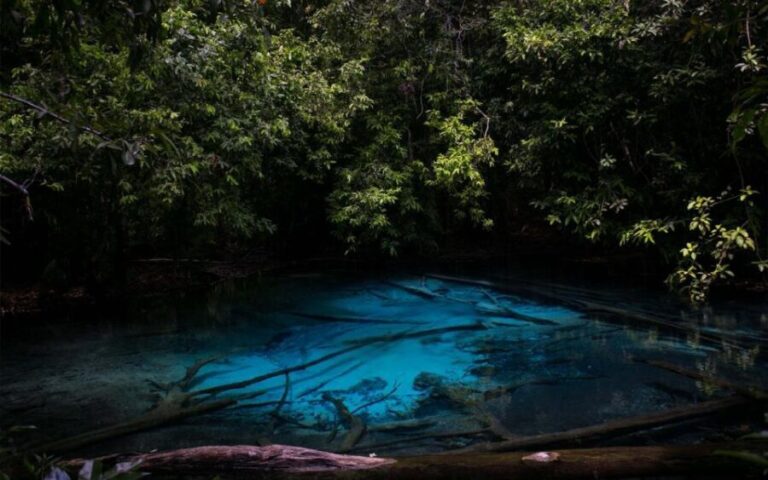 Krabi: Tiger Cave, Hot Springs and Emerald Pool Jungle Tour - Practical Tips and Considerations