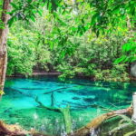 Krabi: Tiger Cave Temple, Emerald Pool and Hot Springs Tour - An In-Depth Look at the Tour Experience