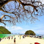 Krabi:Day Trip 4 Islands by Premium Longtail Boat with Lunch - What Travelers Love and Consider