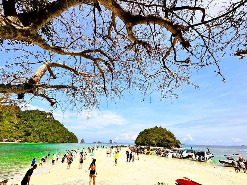 Krabi:Day Trip 4 Islands by Premium Longtail Boat with Lunch - What Travelers Love and Consider