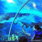 Kuala Lumpur: Aquaria KLCC Entry Ticket - Who Will Love This Experience?