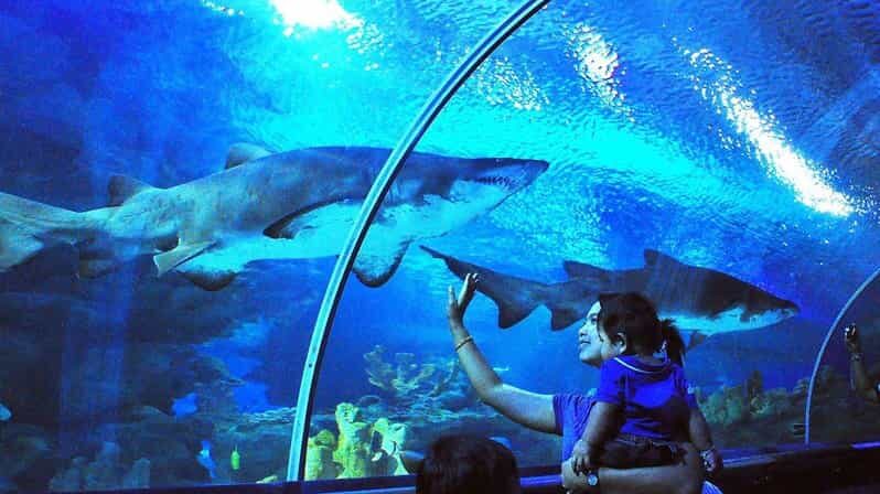 Kuala Lumpur: Aquaria KLCC Entry Ticket - Who Will Love This Experience?
