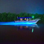 Kuala Lumpur: Kuala Selangor Fireflies and Blue Tears Tour - FAQ