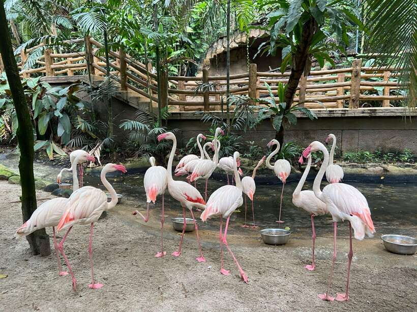 Kuala Lumpur: Sunway Lagoon Ticket & 1-Way Transfer - Authentic Experiences from Visitors