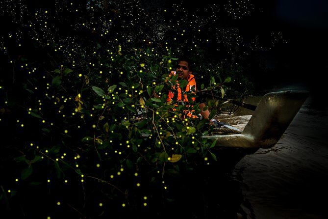 Kuala Selangor Fireflies - Batu Caves Temple- Malawati Hill DayTour With Dinner - Who Is This Tour Best For?