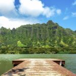 Kualoa Ranch - Kualoa Grown Tour - Who Should Consider This Tour?