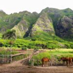 Kualoa Ranch UTV Raptor Tour - Final Thoughts: Who Will Love It?