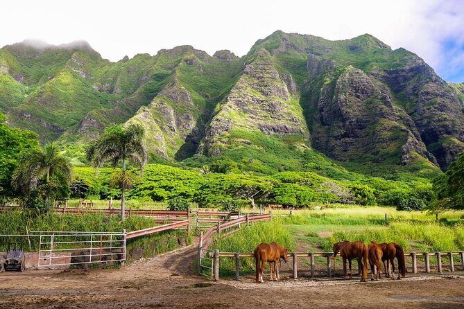 Kualoa Ranch UTV Raptor Tour - Final Thoughts: Who Will Love It?