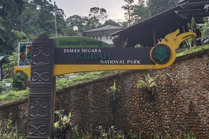 Kubah's Nocturnal Wonders Nighttime Frog Safari - A Deep Dive into the Kubah Night Safari Experience