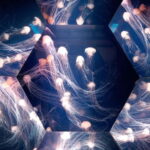 Kujukushima: Aquarium Umikirara Admission Ticket - A Deep Dive Into Uhikirara Aquarium: What to Expect and Why It Matters