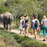 Kulen Elephant Forest and Banteay Srei Temple Tour - Analyzing the Value