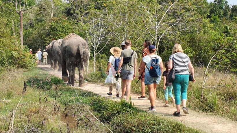 Kulen Elephant Forest and Banteay Srei Temple Tour - Analyzing the Value