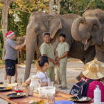 Kulen Elephant Forest & Tonlesap Lake - The Sum Up: Is It Worth It?