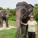 Kulen Elephant Forest Tour with Hotel Pick-up & Drop off - What Makes This Tour Stand Out?