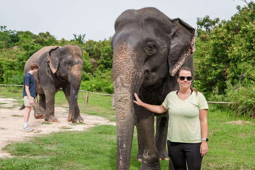 Kulen Elephant Forest Tour with Hotel Pick-up & Drop off - What Makes This Tour Stand Out?