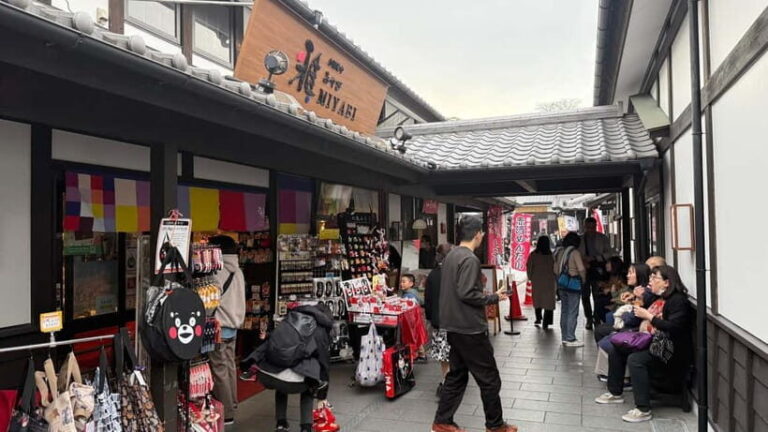 Kumamoto City: Private Castle Tour & Hidden Local Eats - Why This Tour Offers Good Value