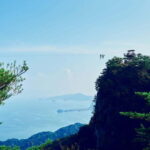 Kumamoto: Dolphin Watching and Zipline Experience Tour - Who Would Enjoy This Tour?