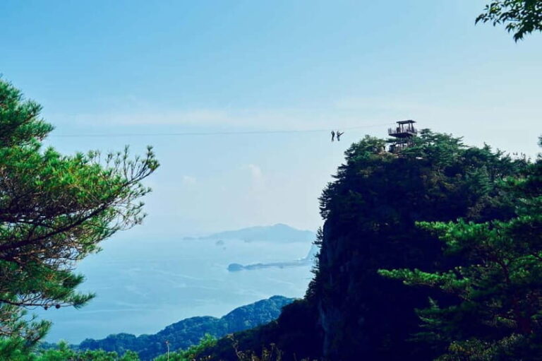 Kumamoto: Dolphin Watching and Zipline Experience Tour - Who Would Enjoy This Tour?