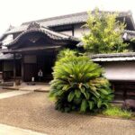 Kumamoto Full-Day Private Tour with Government-Licensed Guide - A Deep Dive into Kumamoto’s Highlights