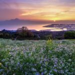 Kumamoto Private Customizable Full Day Tour - Who Would Love This Tour?