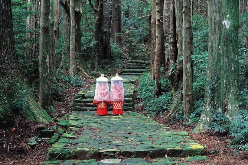 Kumano Kodo Hiking Day Tour from Osaka - Exploring the Kumano Kodo Day Tour in Detail