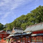 Kumano Kodo Pilgrimage Full-Day Private Trip with Government Licensed Guide - Final Thoughts: Is This Tour Right for You?