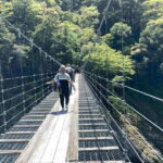 Kumano Kodo Pilgrimage Tour with Licensed Guide & Vehicle - Authenticity and Value