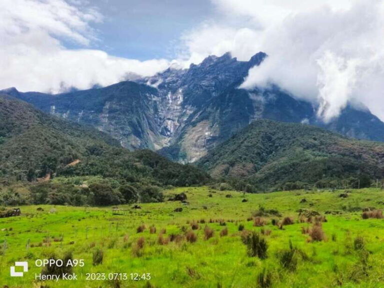 Kundasang : Poring Hot Spring + Desa & Meal Shared Tour - An In-Depth Look at the Kundasang Tour
