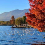 Kunming: 8-Day Yunnan Impression Tour - What This Tour Means for You