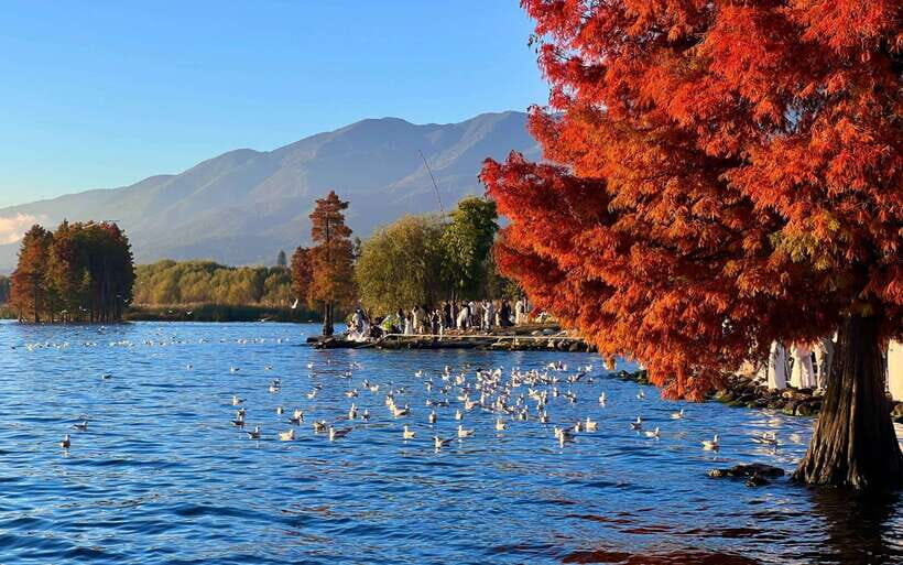 Kunming: 8-Day Yunnan Impression Tour - What This Tour Means for You