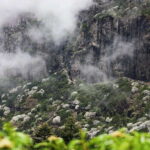 Kunming: Jiaozi (Sedan Chair) Snow Mountain Hiking Day Trip - Is It Worth the Price?