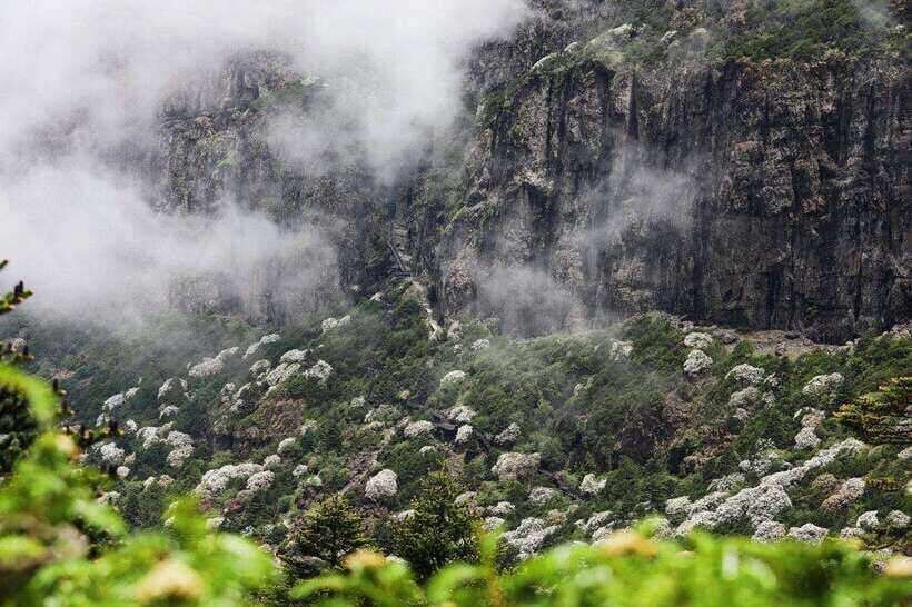 Kunming: Jiaozi (Sedan Chair) Snow Mountain Hiking Day Trip - Is It Worth the Price?