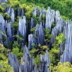 Kunming Private Day Tour to Stone Forest and Chengzi Ancient Town - Who Should Consider This Tour?