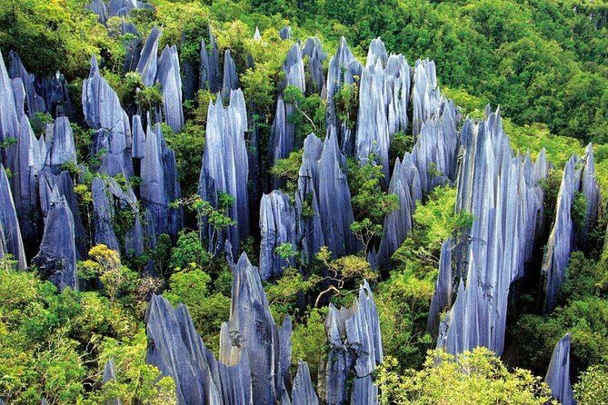 Kunming Private Day Tour to Stone Forest and Chengzi Ancient Town - Who Should Consider This Tour?