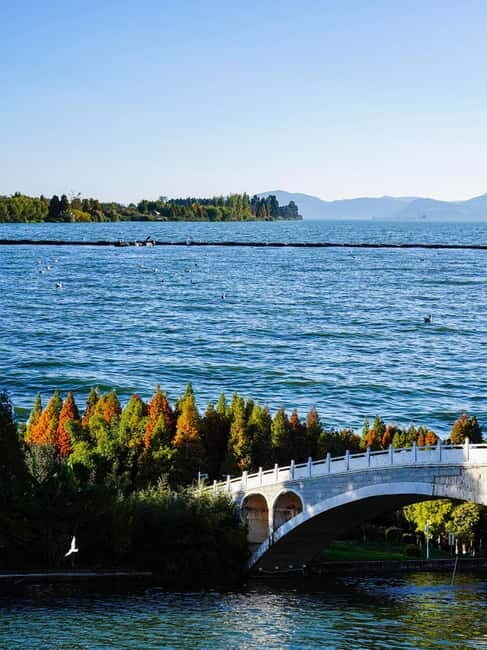 Kunming: Stone Forest and Dianchi Lake Day Trip with Lunch - Lunch: A Taste of Yunnan