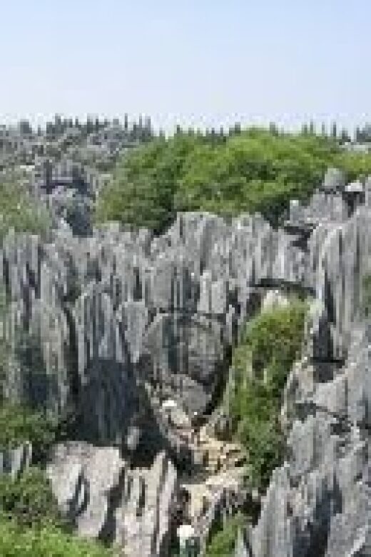 Kunming: Stone Forest Private Day Tour - Exploring the Stone Forest: A Natural Marvel