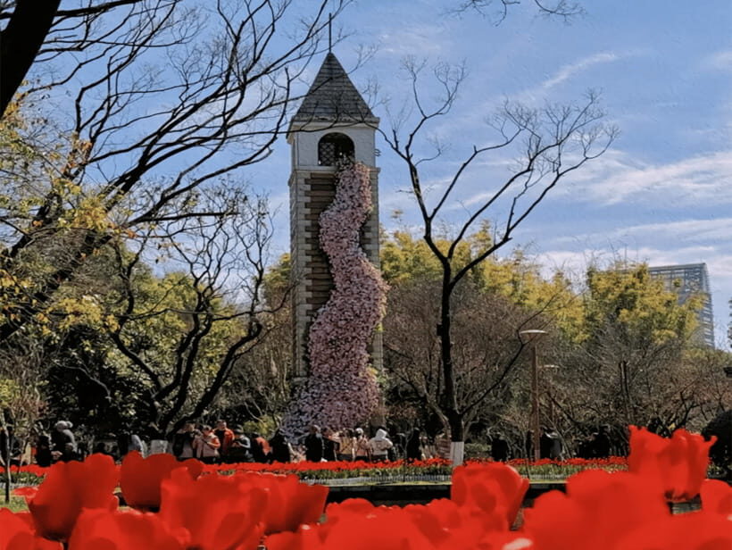 Kunming: Yunnan Military Academy & Kunming Old Town - Analyzing the Value