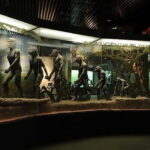 Kunming: Yunnan Provincial Museum Private Tour (Half Day) - A Closer Look at the Experience