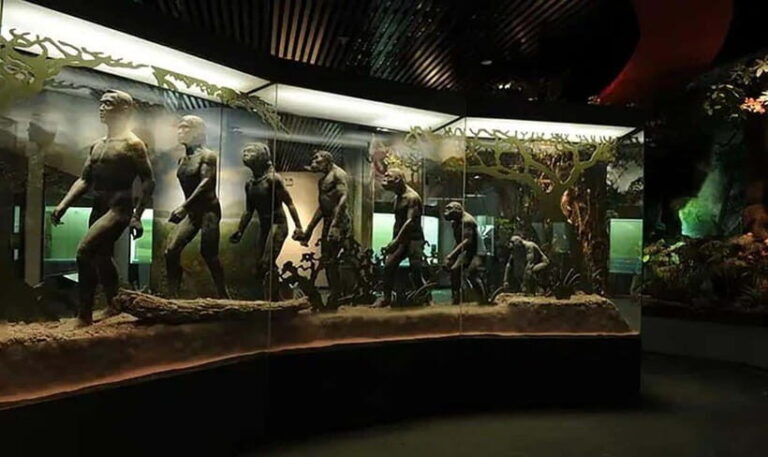 Kunming: Yunnan Provincial Museum Private Tour (Half Day) - A Closer Look at the Experience