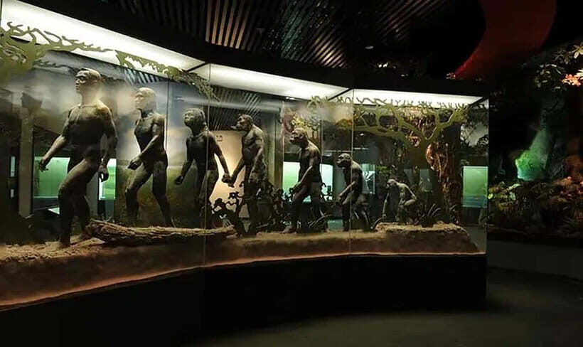 Kunming: Yunnan Provincial Museum Private Tour (Half Day) - A Closer Look at the Experience