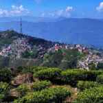 Kurseong: White Orchid Trail Hike with Hotel Pickup - Discovering Kurseongs White Orchid Trail: An Authentic Nature Walk