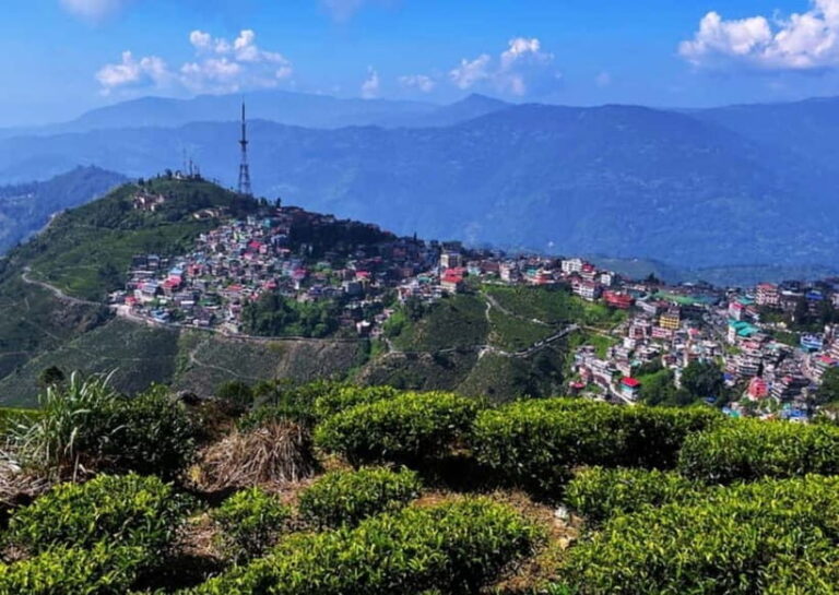 Kurseong: White Orchid Trail Hike with Hotel Pickup - Discovering Kurseongs White Orchid Trail: An Authentic Nature Walk