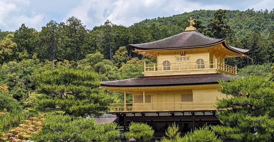 Kyoto: 100% Private Custom Walking Tour (4/8 Hrs) - Who Will Appreciate This Tour?