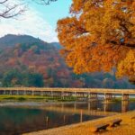 Kyoto: 2-Hour Guided Tour of Arashiyama's Autumn Leaves - Why This Tour Is Worth It
