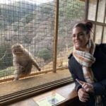 Kyoto: Afternoon Bamboo Forest and Monkey Park Bike Tour - Final Thoughts