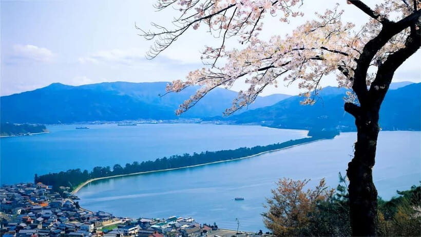 Kyoto: Amanohashidate Ine Funaya Tour - What the Reviews Say